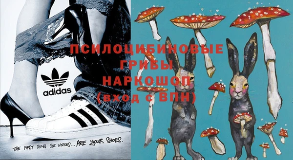 первитин Няндома