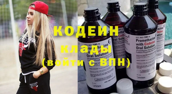 первитин Няндома
