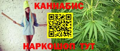 шишки Бийск
