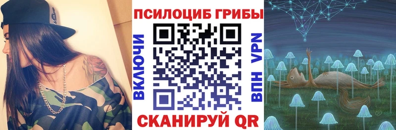 Псилоцибиновые грибы Psilocybine cubensis  Лысьва 